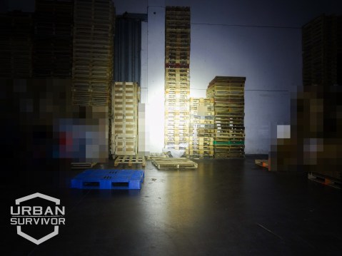 Streamlight TLR-1 HL | Review